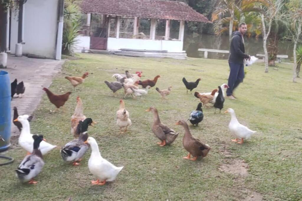 Sitio Paraiso Verde جوكيتيبا المظهر الخارجي الصورة