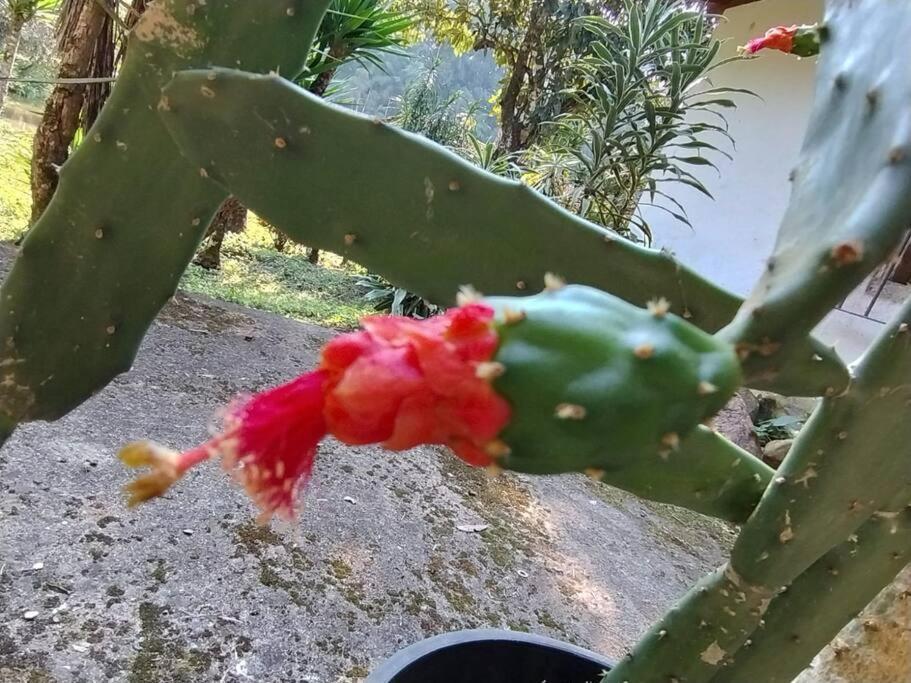 Sitio Paraiso Verde جوكيتيبا المظهر الخارجي الصورة