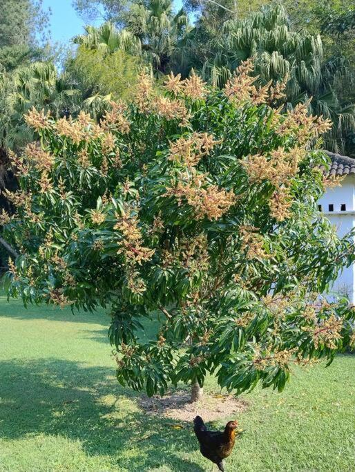 Sitio Paraiso Verde جوكيتيبا المظهر الخارجي الصورة