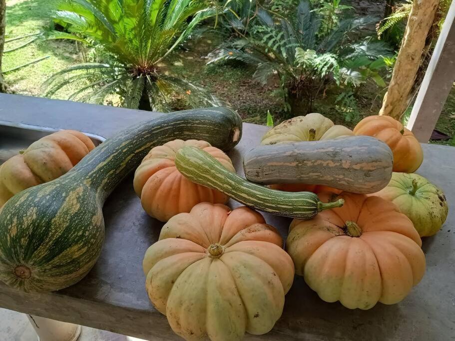 Sitio Paraiso Verde جوكيتيبا المظهر الخارجي الصورة