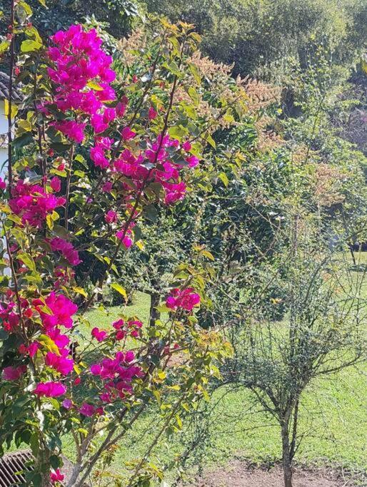 Sitio Paraiso Verde جوكيتيبا المظهر الخارجي الصورة